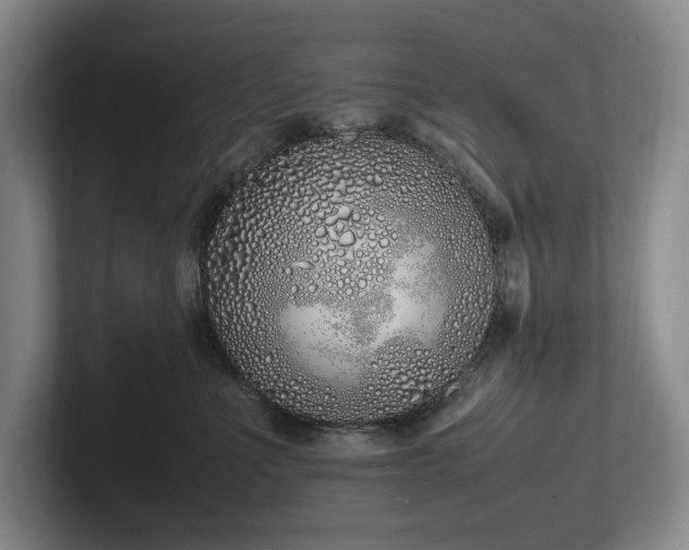 X0000102260523200807251332