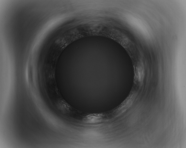 X0000102260526200807251332