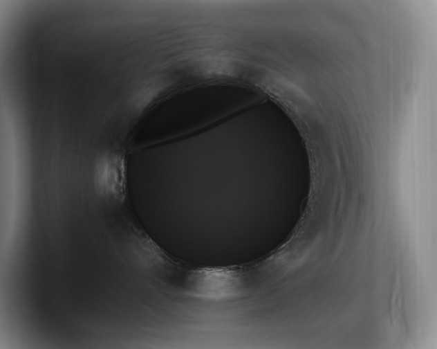 X0000102260528200807251332