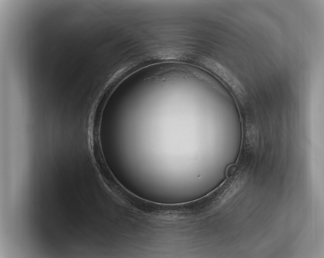 X0000102260530200807251331