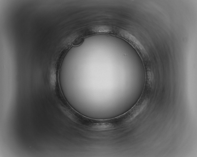 X0000102260541200807251331