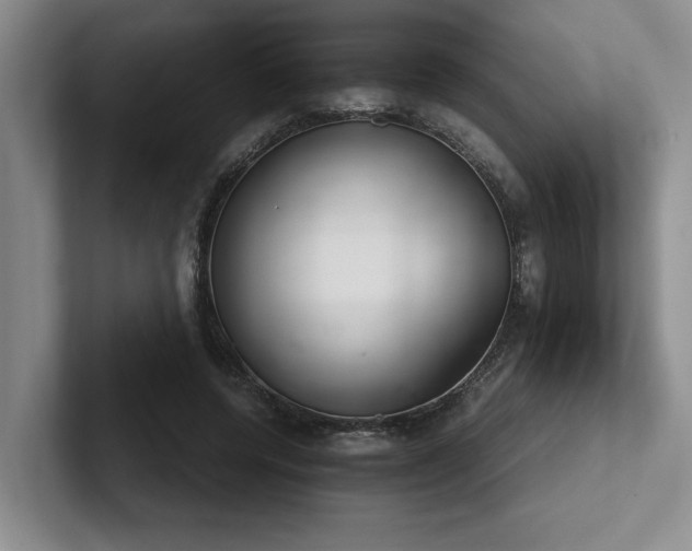 X0000102260544200807251331