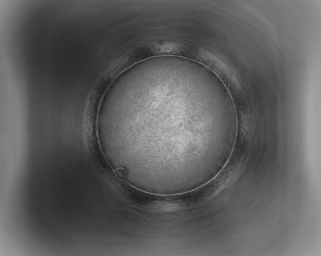 X0000102260545200807251331