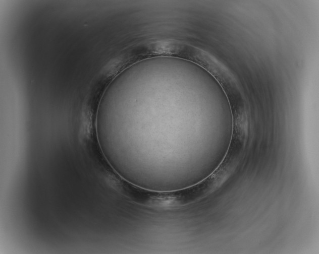 X0000102260554200807251331