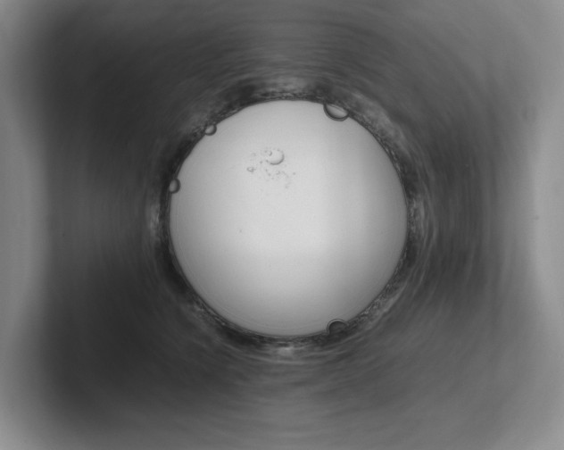 X0000102260564200807251332