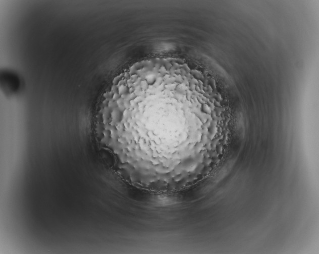 X0000102260565200807251332