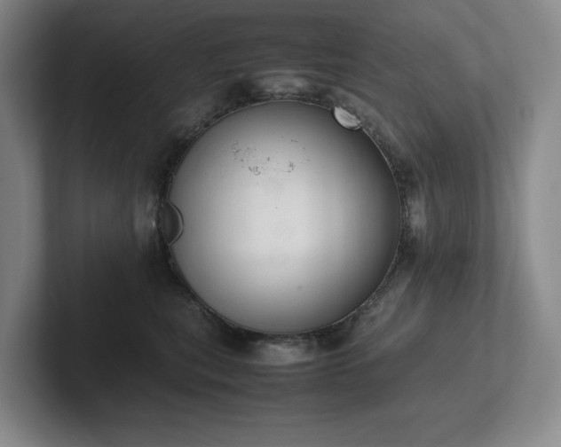 X0000102260567200807251332