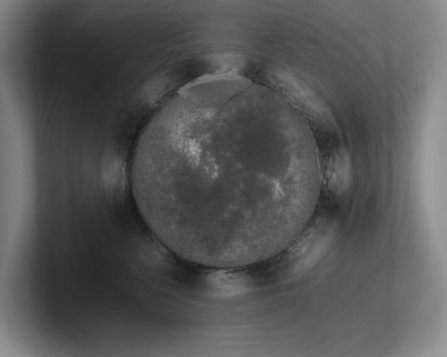 X0000102260568200807251332