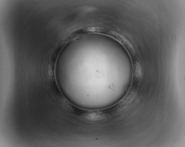 X0000102260569200807251332