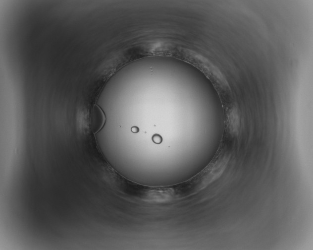 X0000102260571200807251332