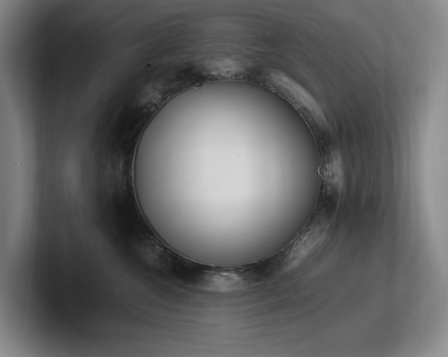 X0000102260572200807251332