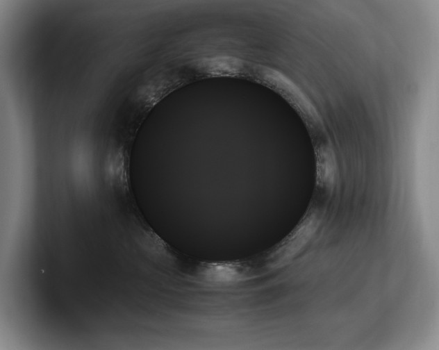 X0000102260573200807251332