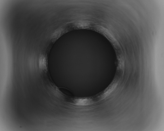 X0000102260575200807251332