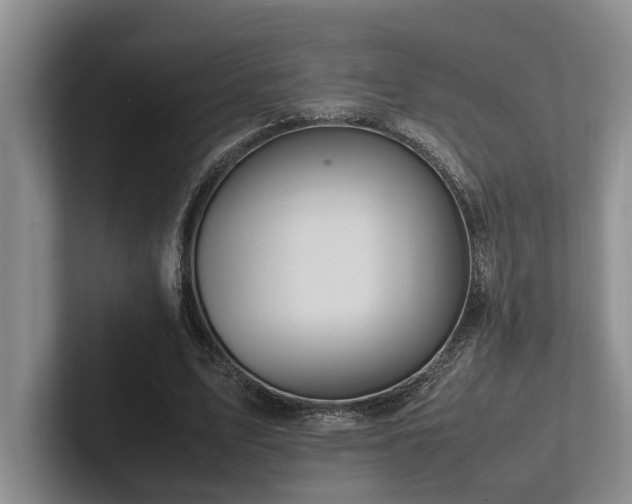 X0000102260583200807251331