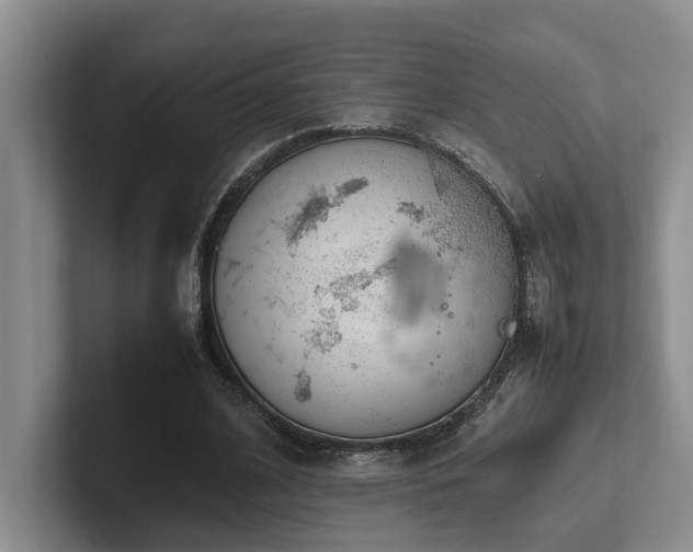 X0000102260584200807251331