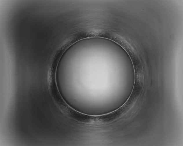 X0000102260591200807251331