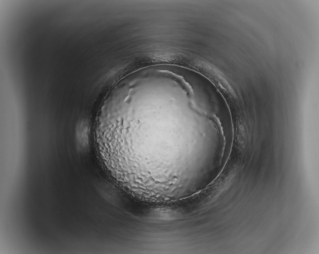 X0000102260596200807251331