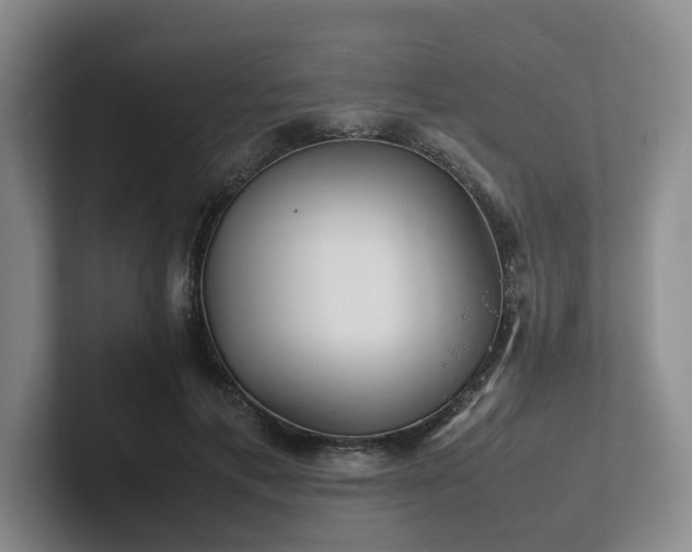 X0000102260597200807251331