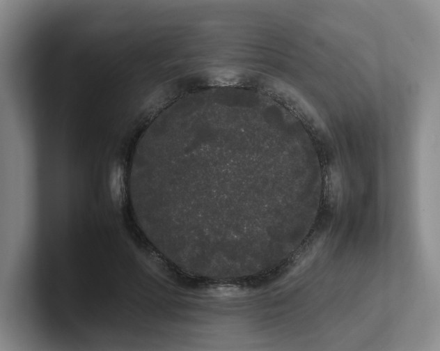 X0000102260598200807251331