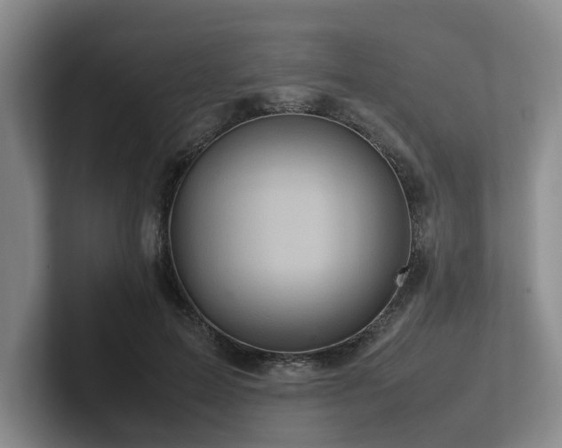 X0000102260599200807251331