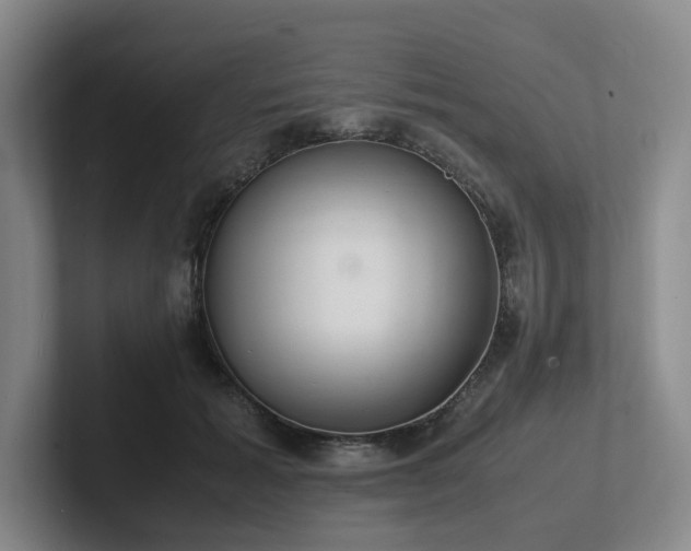 X0000102260605200807251331