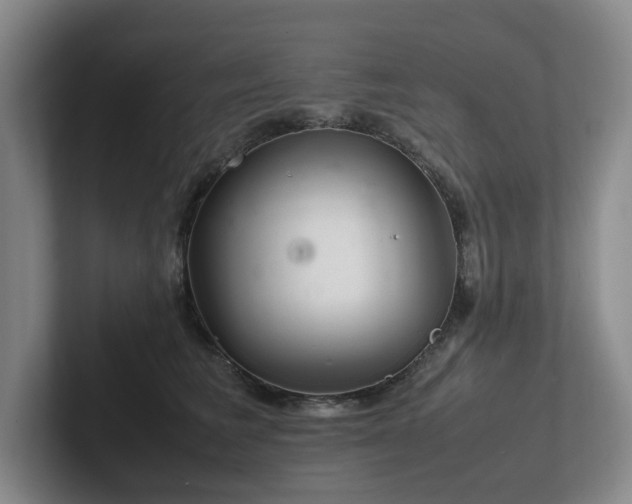 X0000102260613200807251331