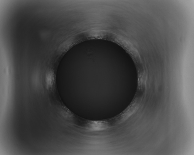 X0000102260623200807251330