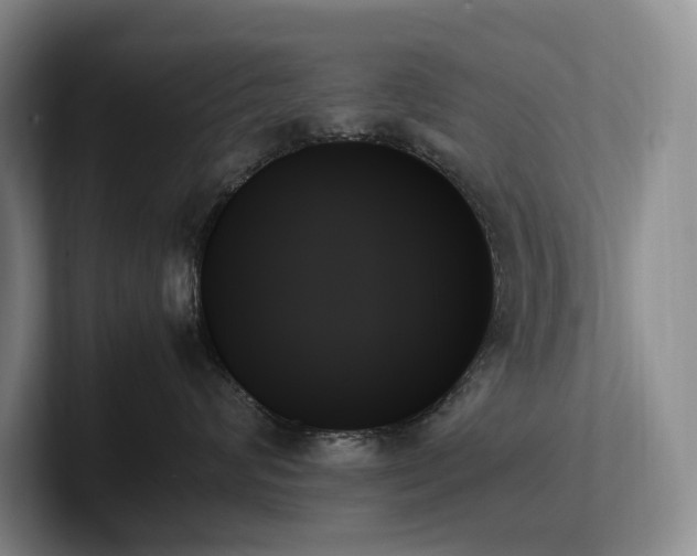 X0000102260624200807251330
