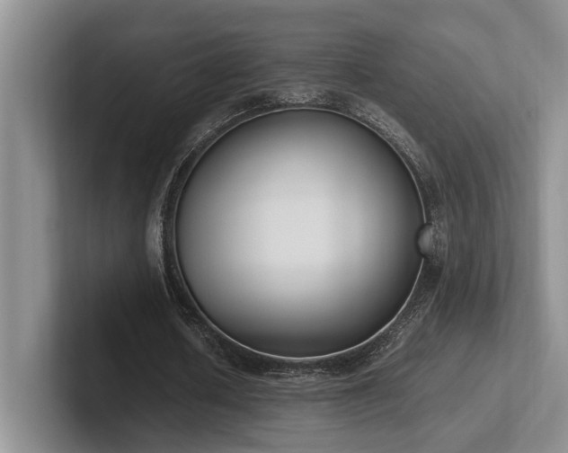 X0000102260626200807251330