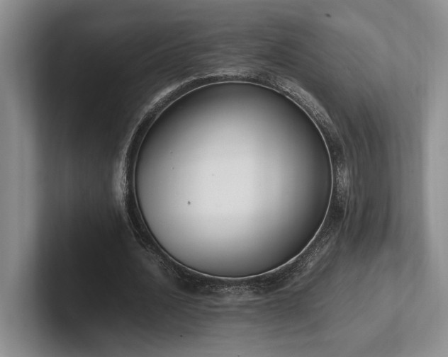 X0000102260628200807251330