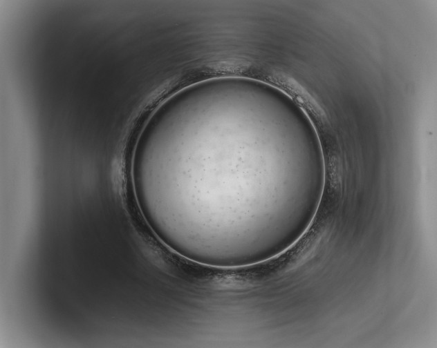 X0000102260634200807251330