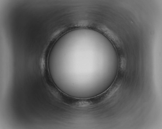X0000102260636200807251330