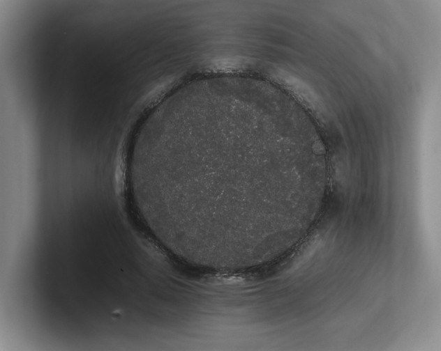 X0000102260640200807251330