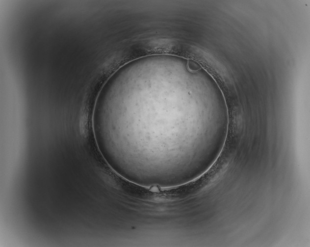 X0000102260641200807251330