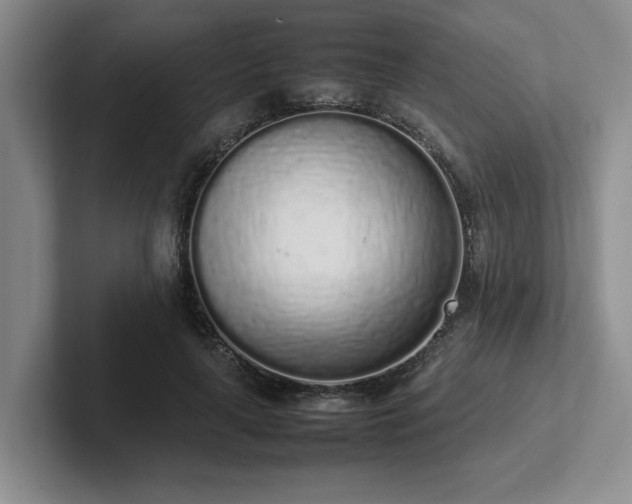 X0000102260643200807251330