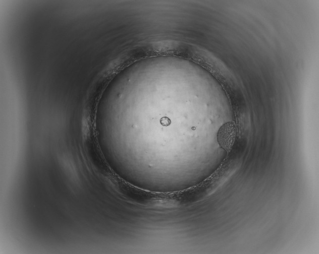 X0000102260644200807251330