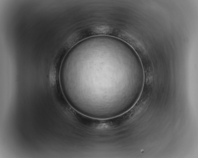X0000102260647200807251330
