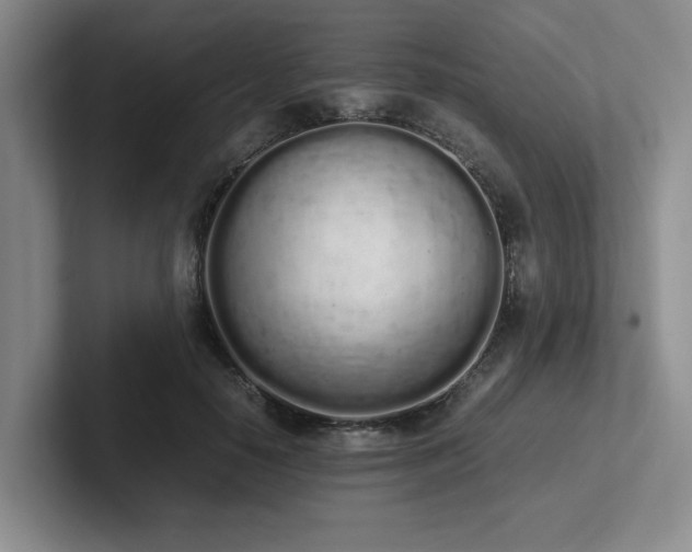 X0000102260650200807251330