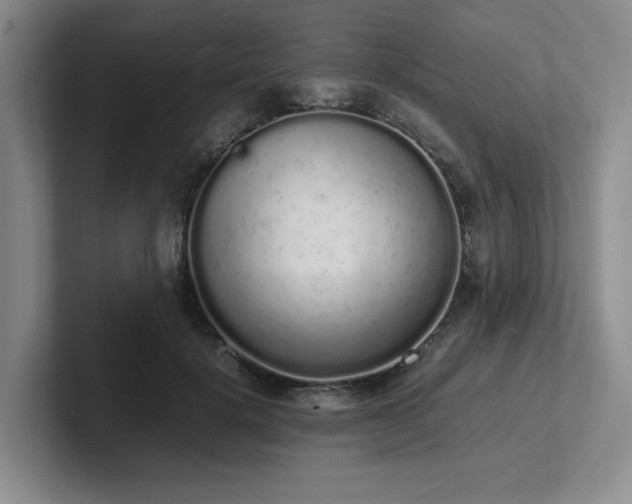 X0000102260652200807251330