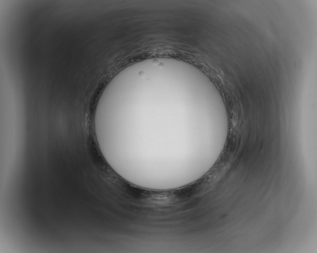 X0000102260659200807251330