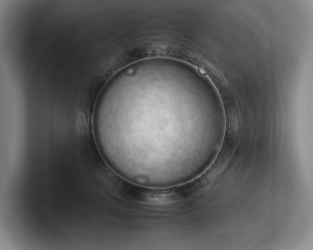X0000102260661200807251330