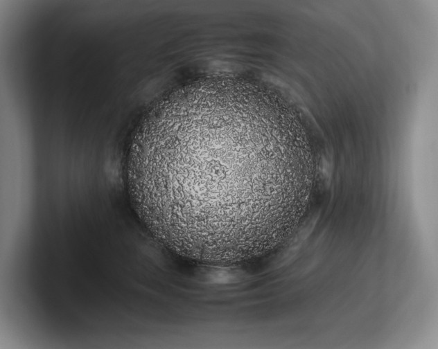 X0000102260663200807251330