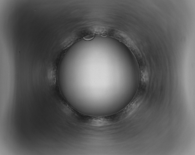 X0000102260666200807251330