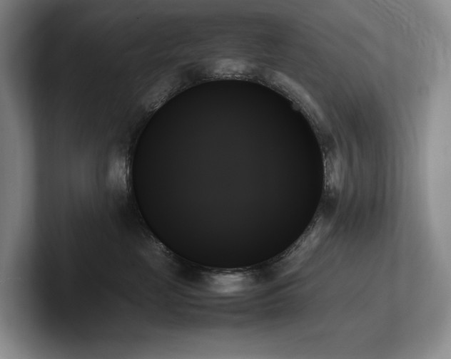 X0000102260669200807251330