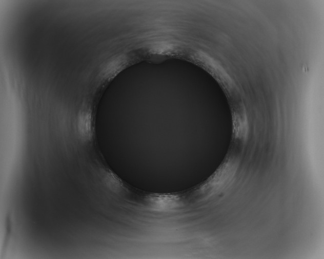 X0000102260670200807251330