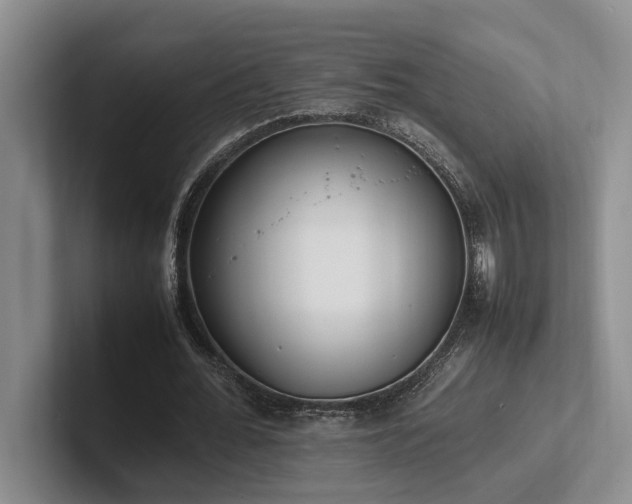 X0000102260676200807251330