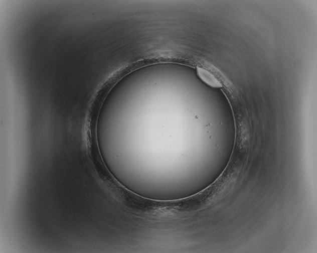 X0000102260680200807251330
