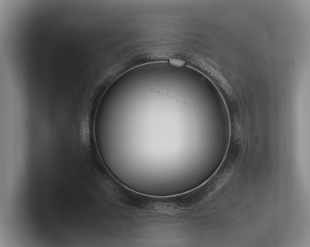 X0000102260681200807251330
