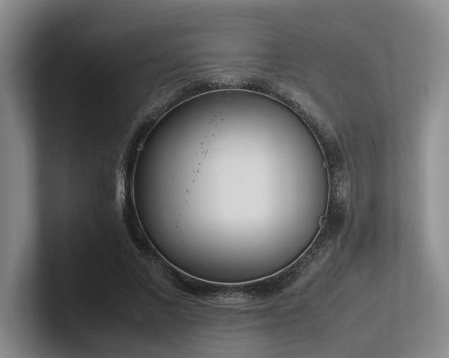 X0000102260685200807251330