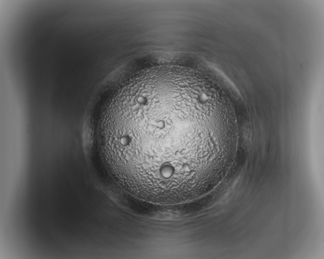 X0000102260691200807251330
